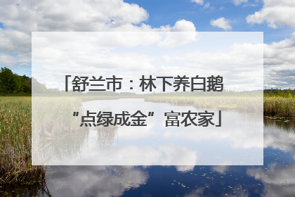 舒兰市：林下养白鹅 “点绿成金”富农家