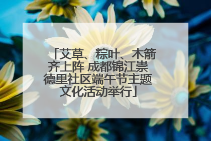 艾草、粽叶、木箭齐上阵 成都锦江崇德里社区端午节主题文化活动举行