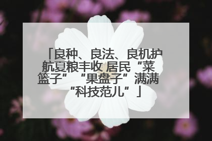 良种、良法、良机护航夏粮丰收 居民“菜篮子”“果盘子”满满“科技范儿”