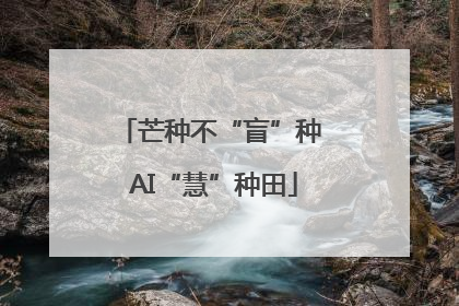 芒种不“盲”种 AI“慧”种田