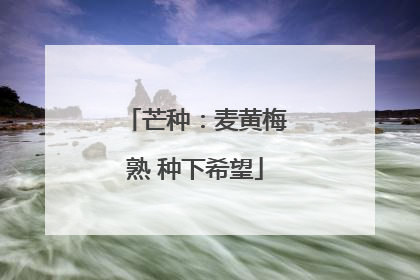 芒种：麦黄梅熟 种下希望