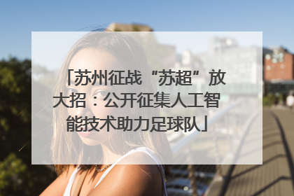 苏州征战“苏超”放大招：公开征集人工智能技术助力足球队