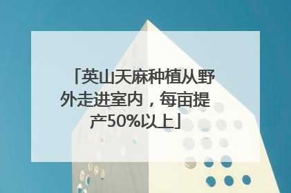 英山天麻种植从野外走进室内，每亩提产50%以上