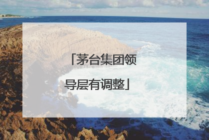茅台集团领导层有调整