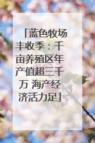 蓝色牧场丰收季：千亩养殖区年产值超三千万 海产经济活力足
