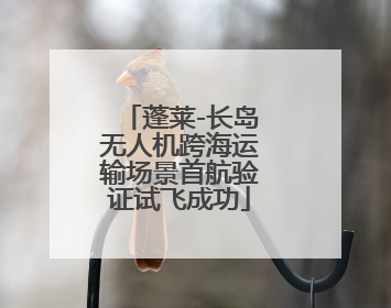 蓬莱-长岛无人机跨海运输场景首航验证试飞成功