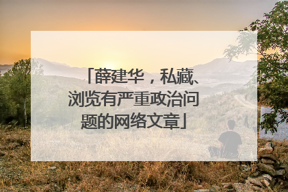 薛建华，私藏、浏览有严重政治问题的网络文章