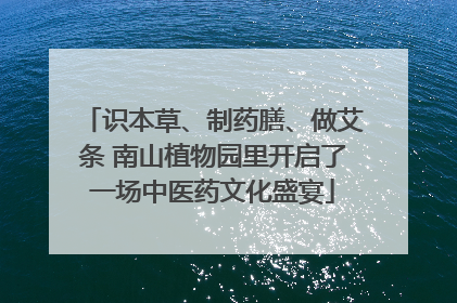 识本草、制药膳、做艾条 南山植物园里开启了一场中医药文化盛宴