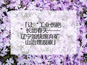让“工业伤疤”长出春天——辽宁加快废弃矿山治理观察