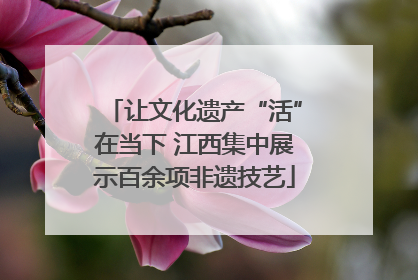 让文化遗产“活”在当下 江西集中展示百余项非遗技艺