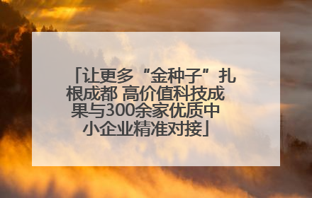 让更多“金种子”扎根成都 高价值科技成果与300余家优质中小企业精准对接