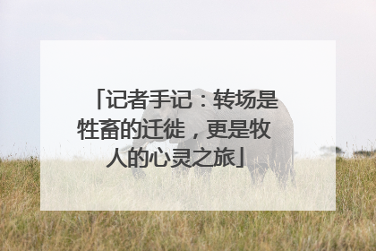 记者手记：转场是牲畜的迁徙，更是牧人的心灵之旅