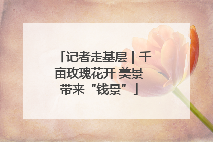 记者走基层｜千亩玫瑰花开 美景带来“钱景”
