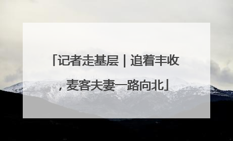 记者走基层｜追着丰收，麦客夫妻一路向北