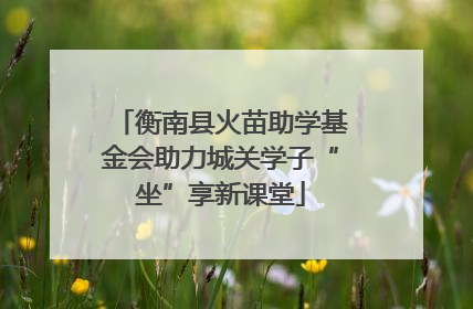 衡南县火苗助学基金会助力城关学子“坐”享新课堂