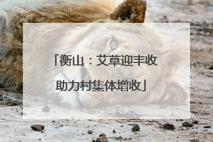 衡山：艾草迎丰收 助力村集体增收