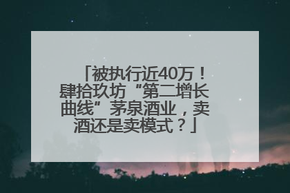 被执行近40万！肆拾玖坊“第二增长曲线”茅泉酒业，卖酒还是卖模式？