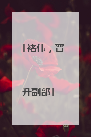 褚伟，晋升副部