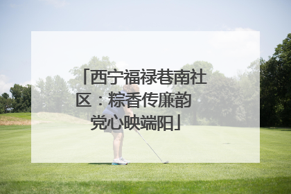 西宁福禄巷南社区：粽香传廉韵 党心映端阳