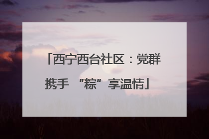 西宁西台社区：党群携手 “粽”享温情