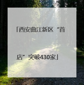 西安曲江新区“首店”突破430家