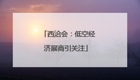 西洽会：低空经济展商引关注