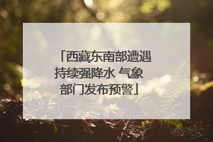 西藏东南部遭遇持续强降水 气象部门发布预警
