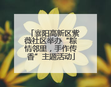 襄阳高新区紫薇社区举办“粽情邻里，手作传香”主题活动
