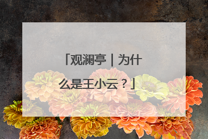 观澜亭｜为什么是王小云？