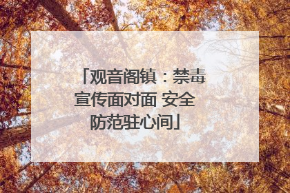 观音阁镇：禁毒宣传面对面 安全防范驻心间