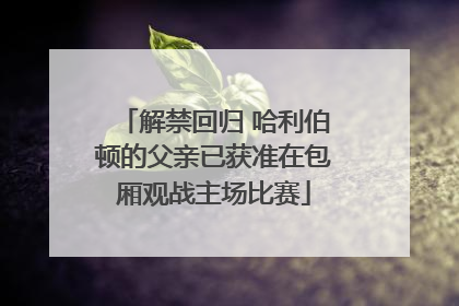 解禁回归 哈利伯顿的父亲已获准在包厢观战主场比赛