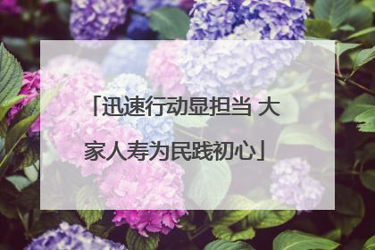 迅速行动显担当 大家人寿为民践初心