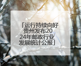 运行持续向好 贵州发布2024年邮政行业发展统计公报
