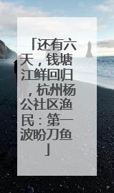 还有六天，钱塘江鲜回归，杭州杨公社区渔民：第一波盼刀鱼