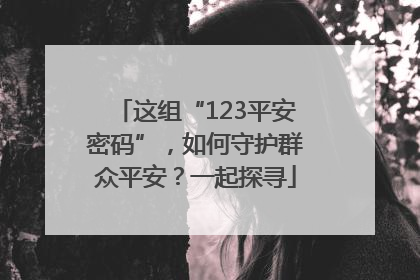 这组“123平安密码”，如何守护群众平安？一起探寻
