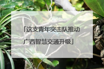 这支青年突击队推动广西智慧交通升级