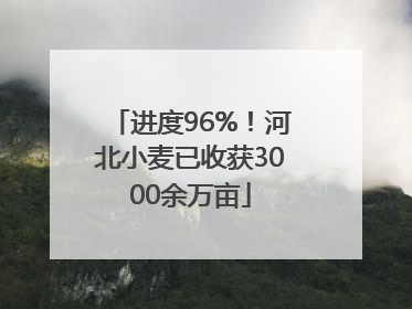 进度96%！河北小麦已收获3000余万亩