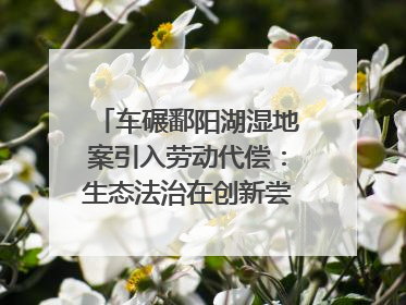 车碾鄱阳湖湿地案引入劳动代偿：生态法治在创新尝试｜有一说一