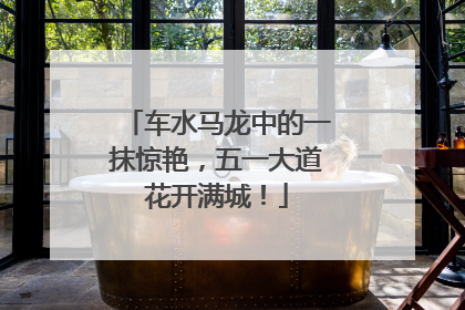 车水马龙中的一抹惊艳，五一大道花开满城！