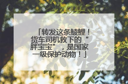 转发这条鲮鲤！货车司机救下的“胖宝宝”，是国家一级保护动物！
