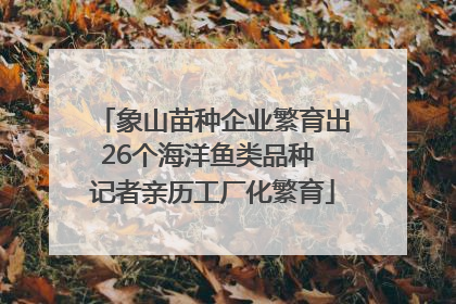 象山苗种企业繁育出26个海洋鱼类品种 记者亲历工厂化繁育
