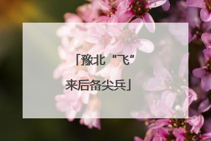 豫北“飞”来后备尖兵