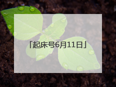 起床号6月11日