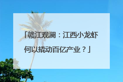 赣江观澜：江西小龙虾何以撬动百亿产业？