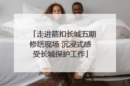 走进箭扣长城五期修缮现场 沉浸式感受长城保护工作