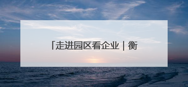 走进园区看企业｜衡阳蒸湘区：向“高”而攀 向“新”而行
