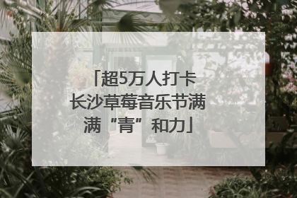 超5万人打卡 长沙草莓音乐节满满“青”和力