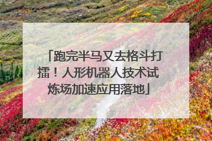 跑完半马又去格斗打擂！人形机器人技术试炼场加速应用落地