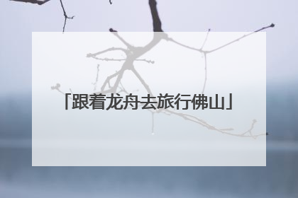 跟着龙舟去旅行佛山