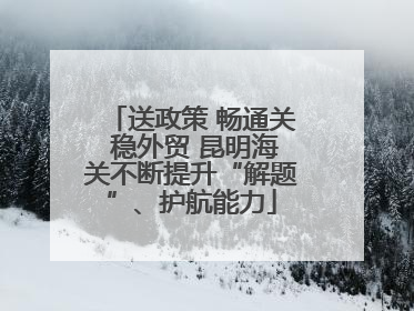 送政策 畅通关 稳外贸 昆明海关不断提升“解题”、护航能力